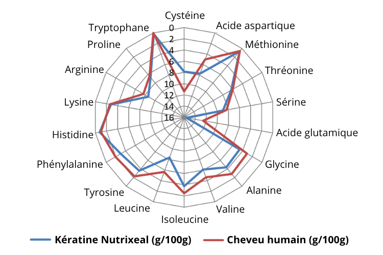 Diagramme de Kiviat et forte similitude entre la kératine cynatine hns Nutrixeal et celle du cheveu humain